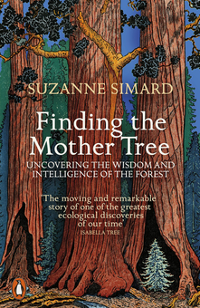Бумажная книга «Finding the Mother Tree», автор Сюзанна Симард - фото №1 - миниатюра