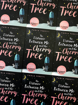 Паперова книга «The Distance Between Me and the Cherry Tree», автор Паола Перетті - фото №5 - мініатюра