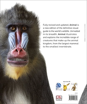 Бумажная книга «Animal. The Definitive Visual Guide» - фото №2 - миниатюра