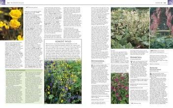 Паперова книга «RHS Encyclopedia of Perennials» - фото №3 - мініатюра