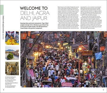 Паперова книга «Delhi, Agra and Jaipur» - фото №4 - мініатюра
