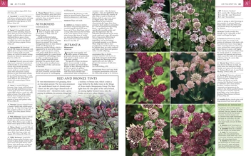 Паперова книга «RHS Encyclopedia of Perennials» - фото №4 - мініатюра