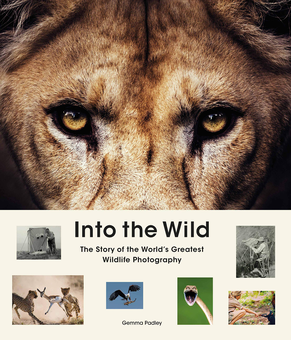Бумажная книга «Into the Wild. The Story of the World's Greatest Wildlife Photography», автор Джемма Пэдли - фото №1 - миниатюра