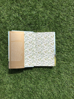 Бумажная книга «Anne of Avonlea», автор Люси Мод Монтгомери - фото №3 - миниатюра