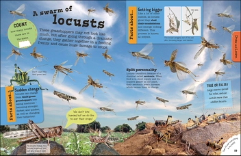 Бумажная книга «Bugs Ultimate Factivity Collection. Create your own Fun-packed Book! » - фото №7 - миниатюра