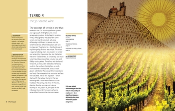 Паперова книга «30-Second Wine: The 50 Essential Elements, each explained in Half a Minute» - фото №5 - мініатюра