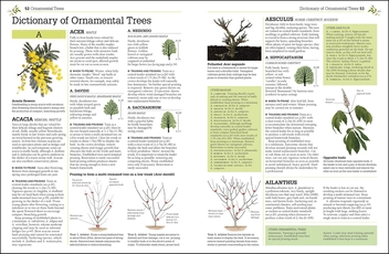 Бумажная книга «RHS Pruning & Training. Revised New Edition; Over 800 Plants; What, When, and How to Prune», авторов Кристофер Брикелл, Дэвид Джойс - фото №4 - миниатюра