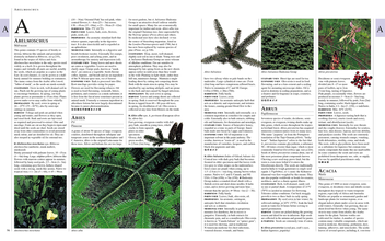 Паперова книга «RHS Encyclopedia Of Herbs» - фото №3 - мініатюра