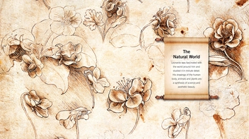 Бумажная книга «Leonardo Da Vinci Drawings», автор Сьюзен Грандж - фото №6 - миниатюра