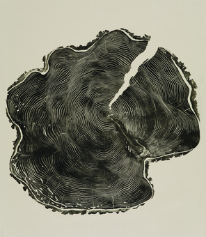 Паперова книга «Woodcut», автор Брайан Неш Гілл - фото №8 - мініатюра
