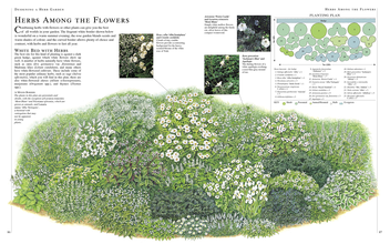 Паперова книга «RHS Encyclopedia Of Herbs» - фото №4 - мініатюра