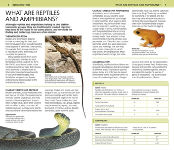 Бумажная книга «Nature Guide Snakes and Other Reptiles and Amphibians. The World in Your Hands» - фото №4 - миниатюра