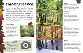 Паперова книга «Woodland and Forest. Explore Nature with Fun Facts and Activities » - фото №7 - мініатюра