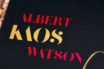 Паперова книга «Albert Watson. Kaos. Art Edition No. 101-150 "Breaunna, Las Vegas, 2001"» - фото №3 - мініатюра