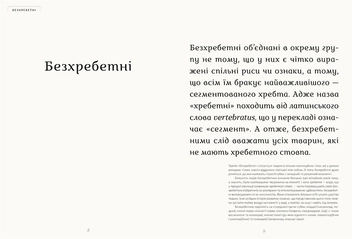 Бумажная книга «Анімаліум», автор Дженни Брум - фото №4 - миниатюра