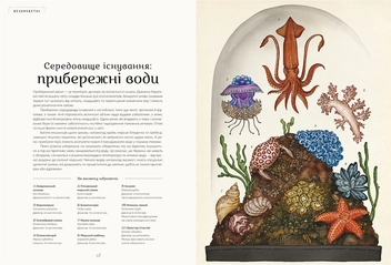 Бумажная книга «Анімаліум», автор Дженни Брум - фото №9 - миниатюра