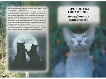 Бумажная книга «Коти-вояки. Таємниці кланів. Путівник по серії», автор Эрин Хантер - фото №4 - миниатюра