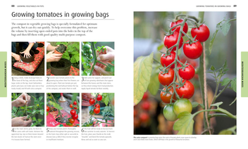Паперова книга «RHS Fruit & Veg Box. Planting and Harvesting to Cooking and Preserving» - фото №3 - мініатюра