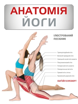 Бумажная книга «Анатомія йоги. Ілюстрований посібник», автор Эбигейл Эллсворт  - фото №1 - миниатюра