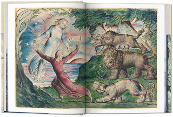 Бумажная книга «William Blake. Dante's "Divine Comedy". The Complete Drawings», автор Себастьян Шутце - фото №5 - миниатюра