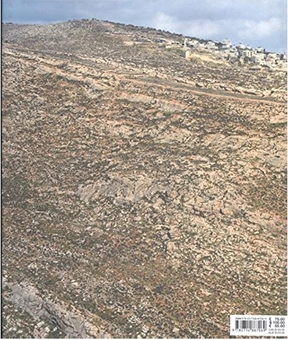Паперова книга «From Galilee to the Negev», автор Стівен Шор - фото №2 - мініатюра
