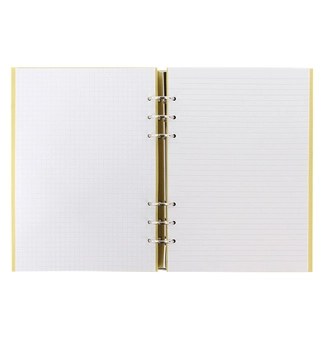  «Органайзер Filofax Clipbook A5 Classic Pastels Lemon (145000)», бренда Filofax - фото №4 - миниатюра