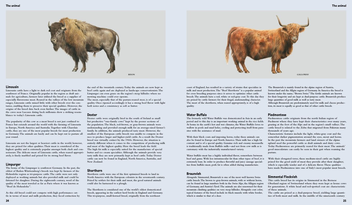 Бумажная книга «Crafted Meat. Or the Wurst Is yet to Come», автор Хендрик Хаазе - фото №3 - миниатюра
