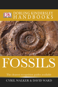 Паперова «Fossils», автора Без автора– фото №1
