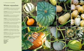 Паперова книга «RHS Fruit & Veg Box. Planting and Harvesting to Cooking and Preserving» - фото №4 - мініатюра