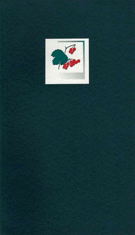 Паперова книга «Київ у травні», автор Дмитро Павличко - фото №3 - мініатюра