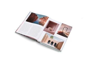 Бумажная книга «Dreamscapes and Artificial Architecture» - фото №10 - миниатюра