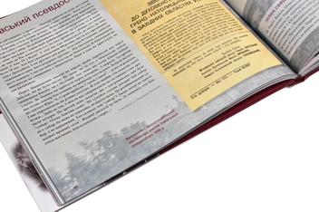 Бумажная книга «Переслідувані за правду. Українські греко-католики в умовах тоталітарних режимів XX ст.», автор Оксана Гудзяк - фото №10 - миниатюра