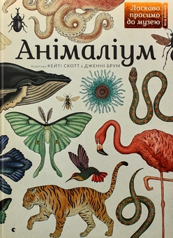 Бумажная книга «Серія пізнавальних книжок-музеїв (комплект із 3 книг)», авторов Дженни Брум, Джо Нельсон, Кэти Уиллис - фото №8 - миниатюра