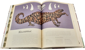 Бумажная книга «Анімаліум», автор Дженни Брум - фото №10 - миниатюра