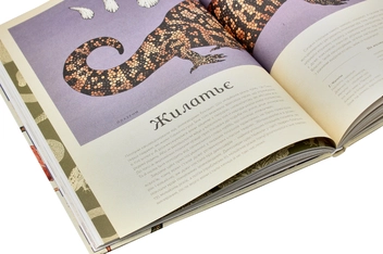 Бумажная книга «Серія пізнавальних книжок-музеїв (комплект із 3 книг)», авторов Дженни Брум, Джо Нельсон, Кэти Уиллис - фото №13 - миниатюра