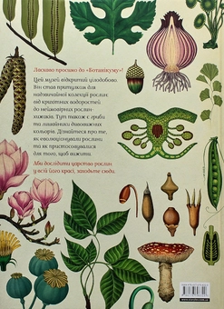 Бумажная книга «Ботанікум», автор Кэти Уиллис - фото №6 - миниатюра