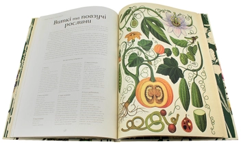 Бумажная книга «Ботанікум», автор Кэти Уиллис - фото №8 - миниатюра