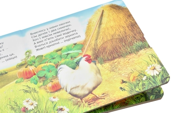 Паперова книга «Хто сховався у дворі?», автор Василь Федієнко - фото №7 - мініатюра