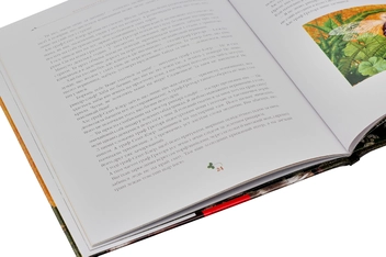 Бумажная книга «Комплект книжок з ілюстраціями Владислава Єрко (комплект із 4 книг)», авторов Ханс Кристиан Андерсен, Антуан де Сент-Экзюпери - фото №11 - миниатюра