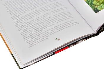 Бумажная книга «Комплект книжок з ілюстраціями Владислава Єрко (комплект із 4 книг)», авторов Ханс Кристиан Андерсен, Антуан де Сент-Экзюпери - фото №12 - миниатюра