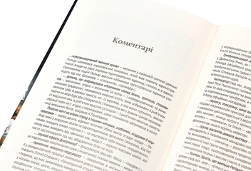 Бумажная книга «Відьмак (комплект із 8 книг)», автор Анджей Сапковский - фото №46 - миниатюра