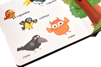Паперова книга «Тварини в лісі», автор Василь Федієнко - фото №7 - мініатюра