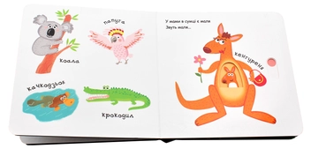 Бумажная книга «Зоопарк», автор Василий Федиенко - фото №6 - миниатюра