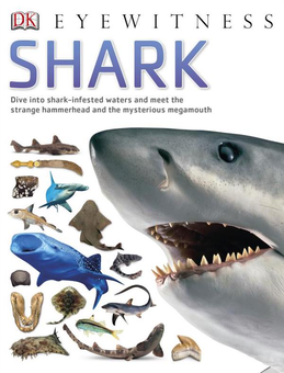 Бумажная книга «Shark» - фото №1 - миниатюра