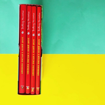 Бумажная книга «Усі дивовижні пригоди в лісовій школі (комплект із 4 книг + розклад занять)», автор Всеволод Нестайко - фото №3 - миниатюра