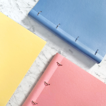  «Органайзер Filofax Clipbook A4 Classic Pastels Rose (144003)», бренда Filofax - фото №4 - миниатюра