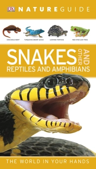 Бумажная книга «Nature Guide Snakes and Other Reptiles and Amphibians. The World in Your Hands» - фото №1 - миниатюра
