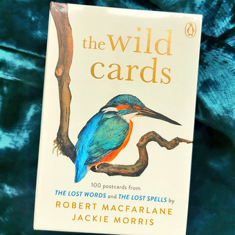 Паперова книга «The Wild Cards. A 100 Postcard Box Set», автор Роберт Макфарлейн - фото №2 - мініатюра