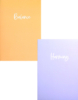 «Комплект из 2 блокнотов Hod.brand Balance (30030000030)», бренда Hod.brand - фото №1 - миниатюра