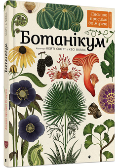 Бумажная книга «Серія пізнавальних книжок-музеїв (комплект із 3 книг)», авторов Дженни Брум, Джо Нельсон, Кэти Уиллис - фото №2 - миниатюра